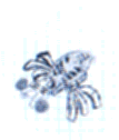 fikoe-tree-spider.gif