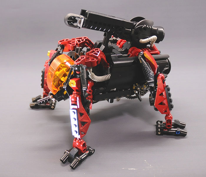 kafer_08.jpg