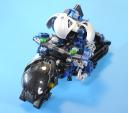 bike_10.jpg