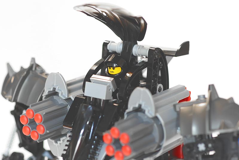 armed_11.jpg