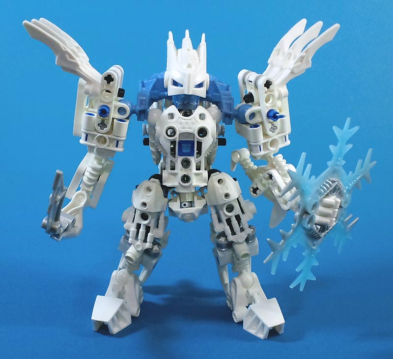 metus01.jpg