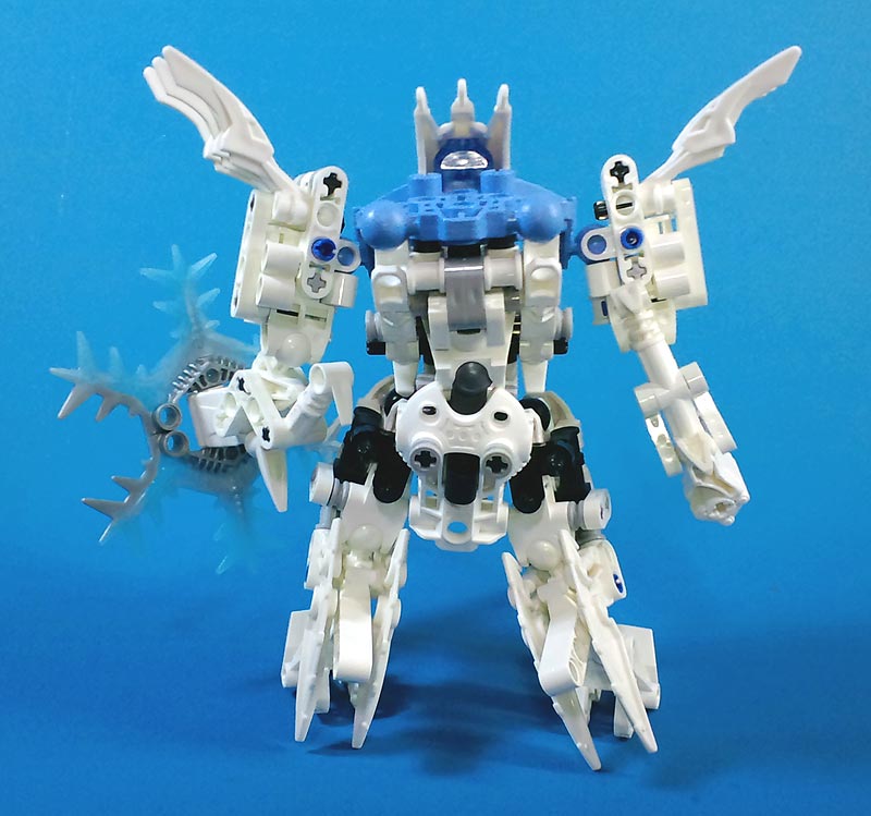 metus02.jpg