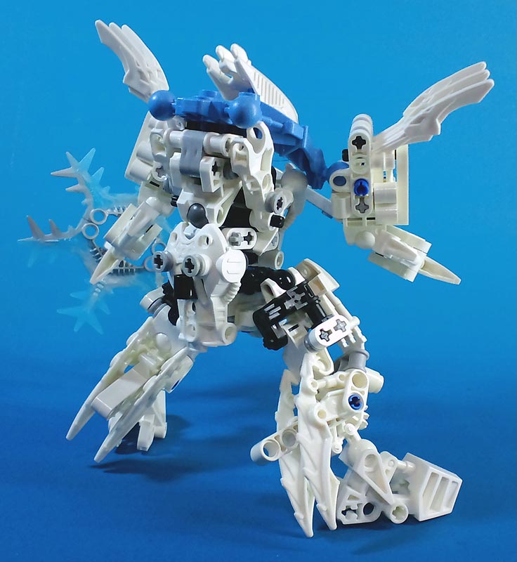 metus06.jpg