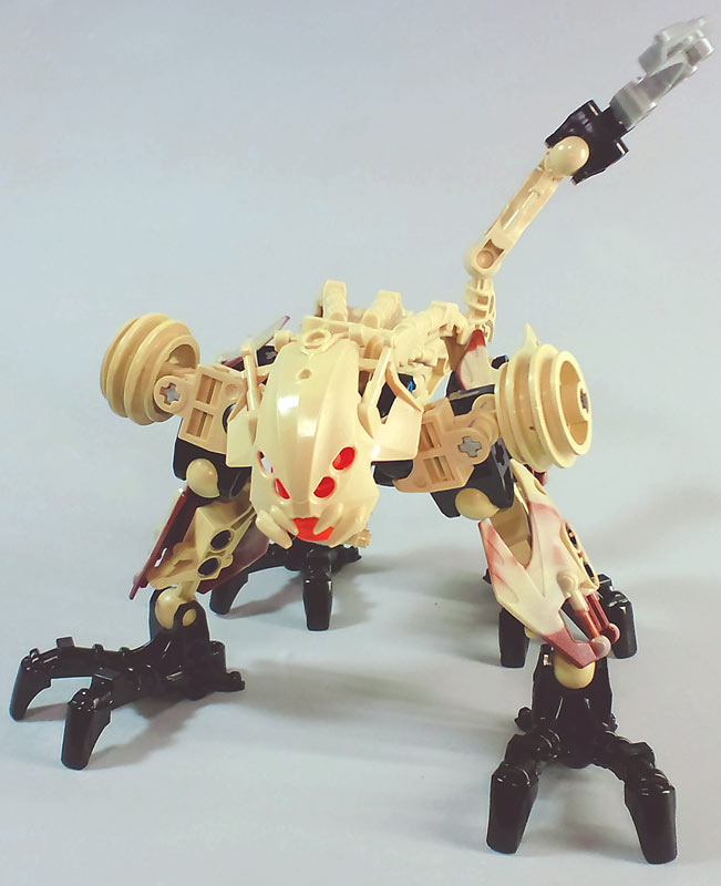 zesk01.jpg
