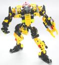 honeybee_06.jpg