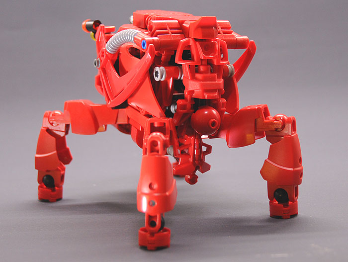 red4legs03.jpg