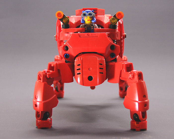 red4legs05.jpg