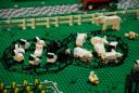 preblecounty_1223206_23.jpg