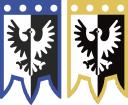 black_falcon_banner.jpg