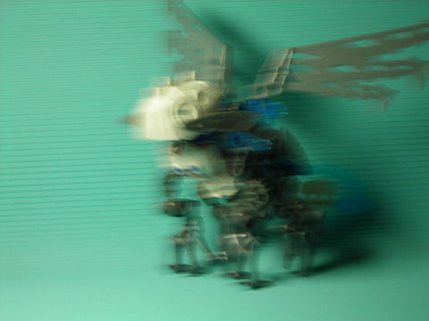 houndb-04.jpg