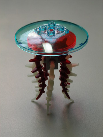 8925-12.jpg