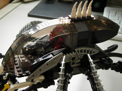 8925-16.jpg