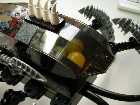 8925-19.jpg