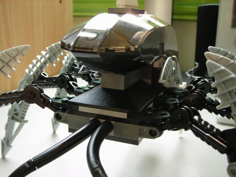 8925-22.jpg
