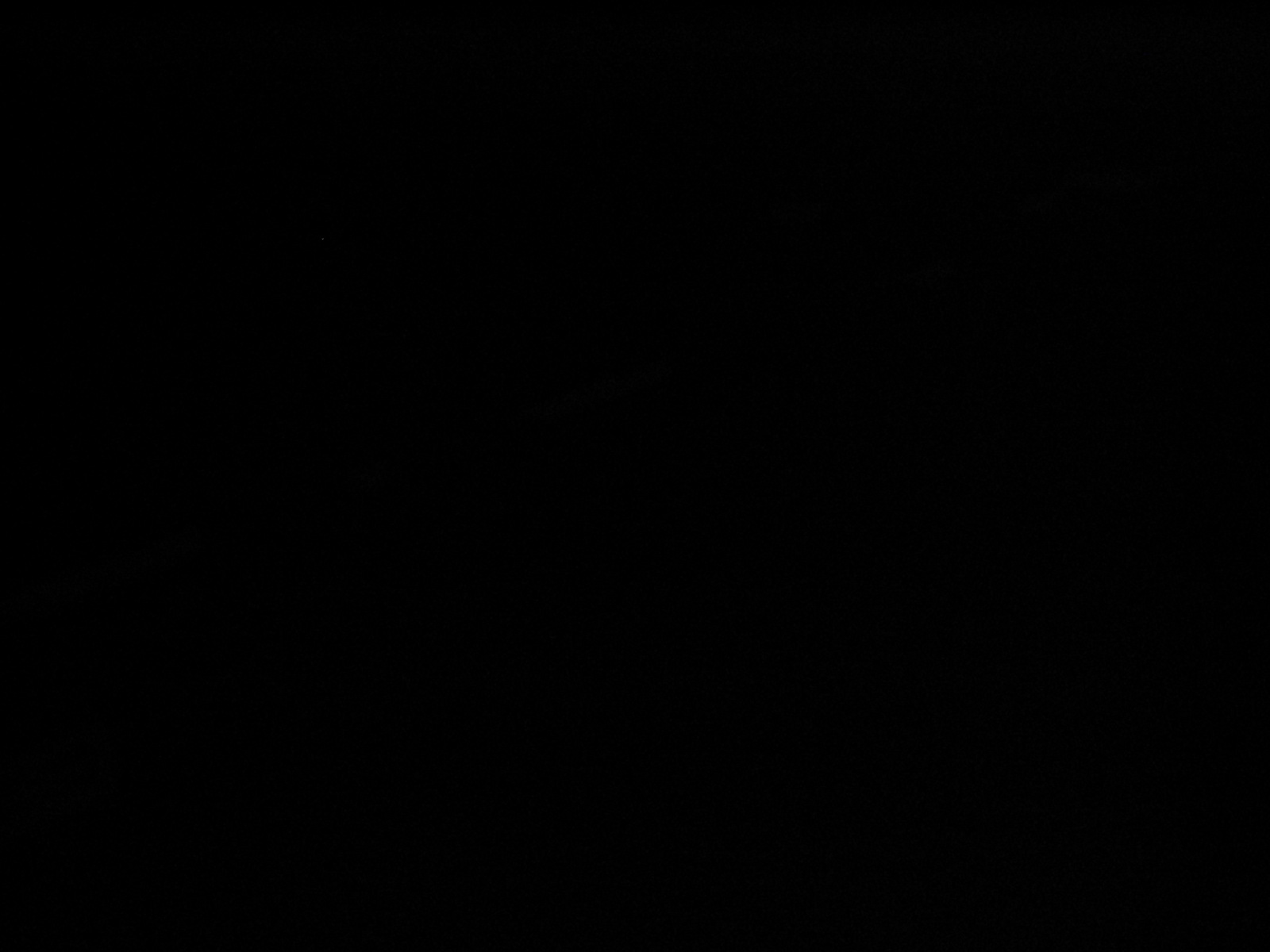 msc_cargo_012.jpg
