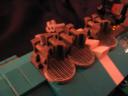 msc_crago_021.jpg