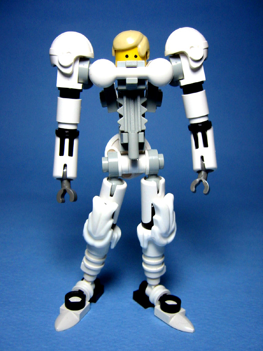 g009.jpg