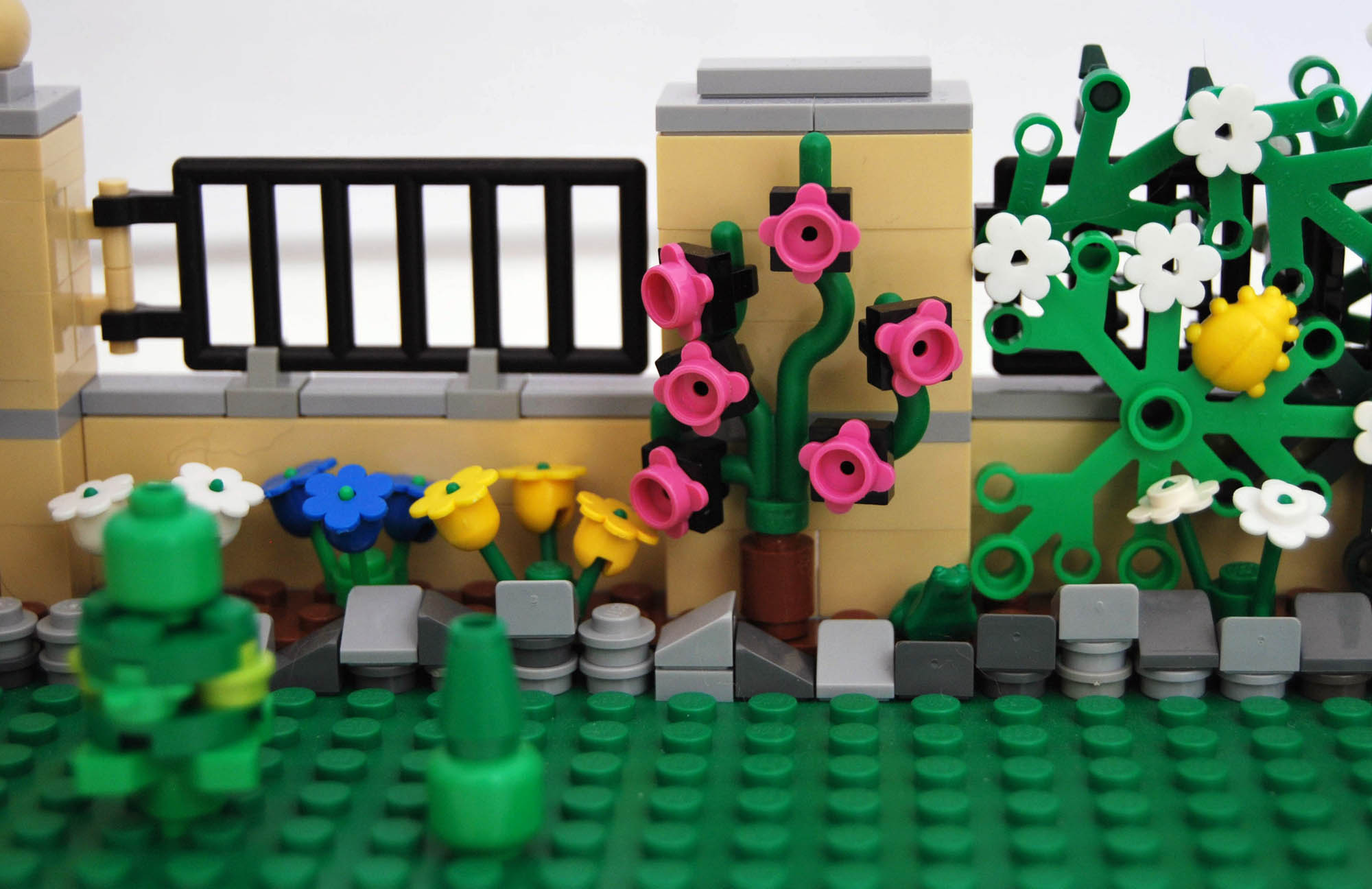 v4_fronte_giardino_dx_11.jpg