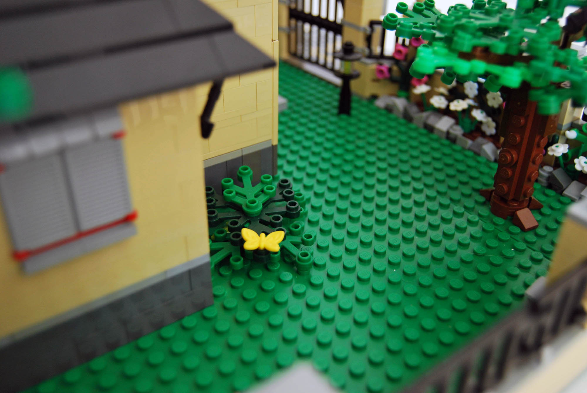 v4_fronte_giardino_sx_3.jpg