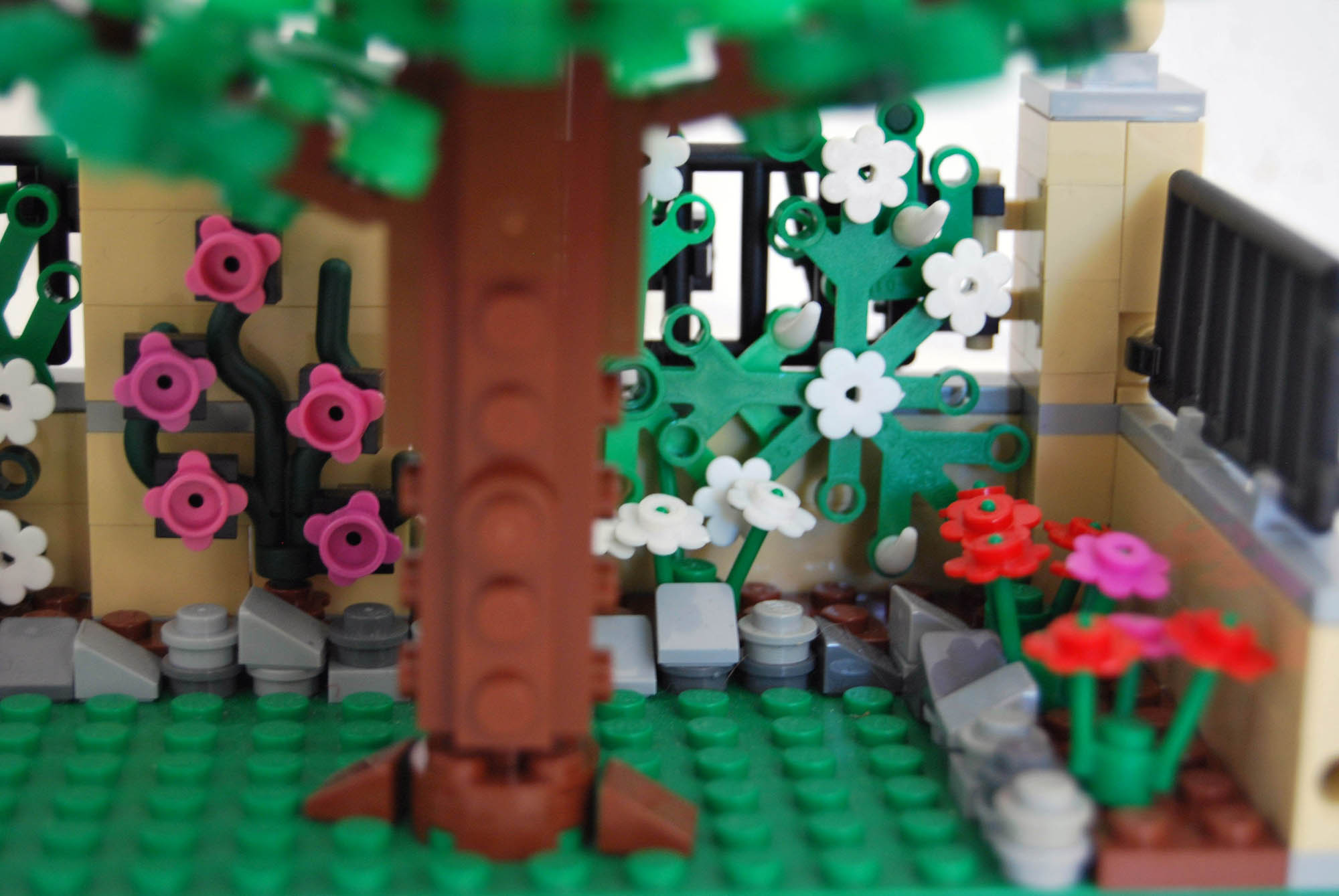 v4_fronte_giardino_sx_8.jpg