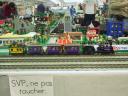 purplesteamer1.jpg