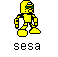 sesa.bmp