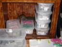 squirrelfanoflego02.jpg