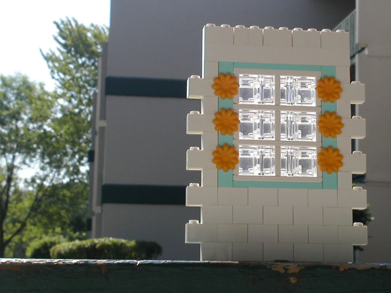 windows_patterns_23.jpg