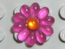 flower10-large-pin-tdpink-matte-cabtorange.jpg