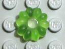 flower10-small-hole-tlgreen-matte.jpg