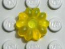 flower10-small-hole-tyellow-matte.jpg