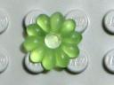 flower10-small-pin-tlgreen-matte.jpg