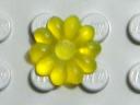 flower10-small-pin-tyellow-matte.jpg
