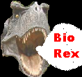 b_rex_avatar2.png