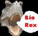 b_rex_avatar2.png