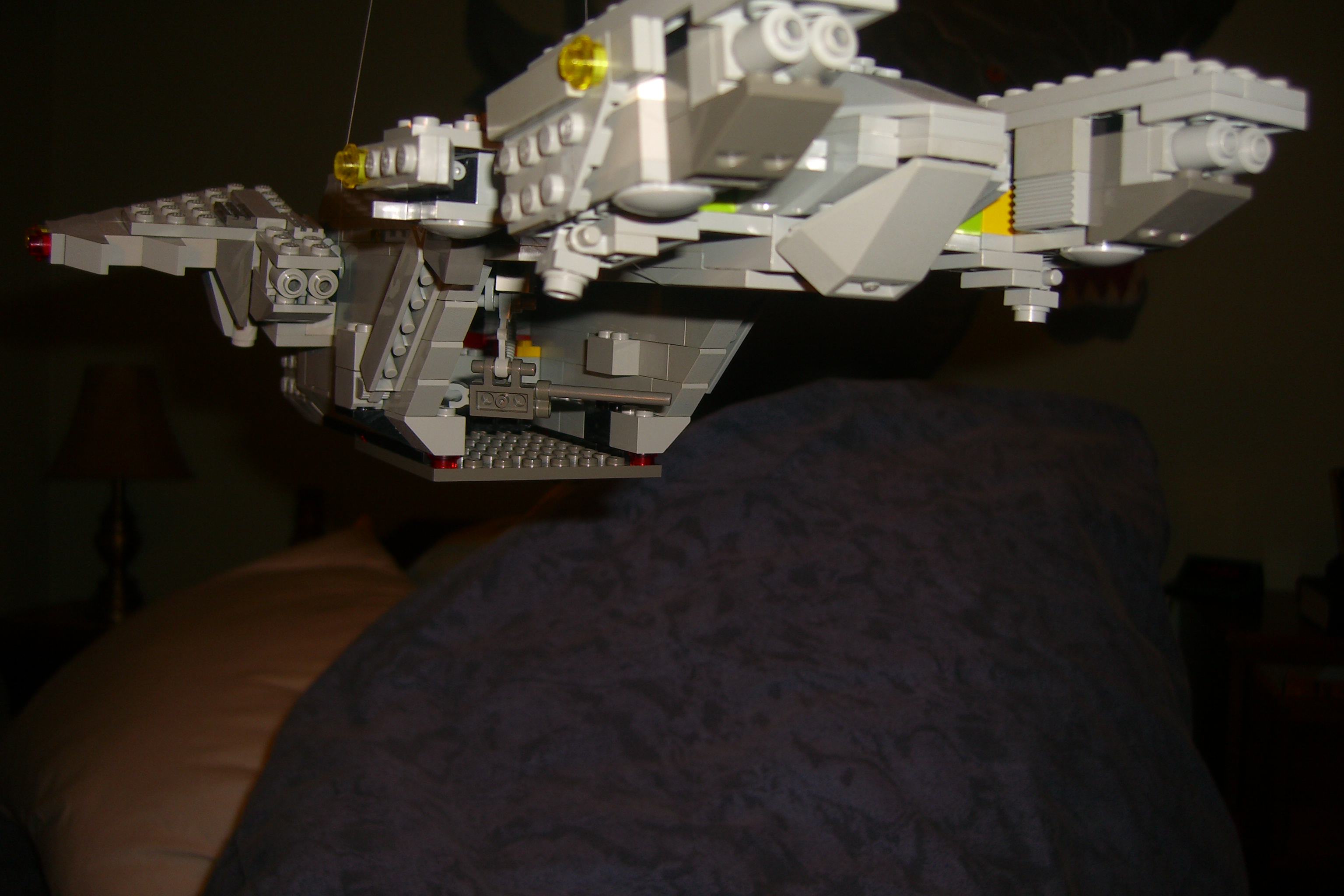 pelican01.jpg