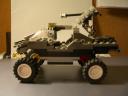 warthog
