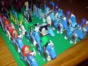 dsc00313.jpg