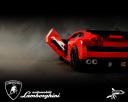 custom_lp_560_19.jpg