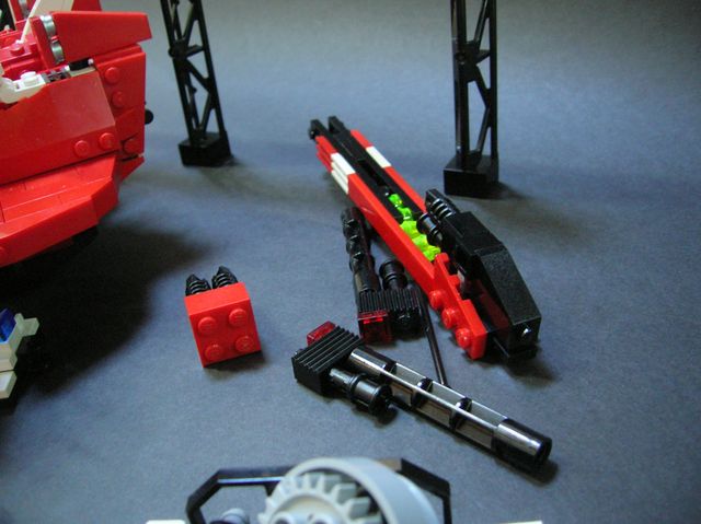 caracara_13.jpg
