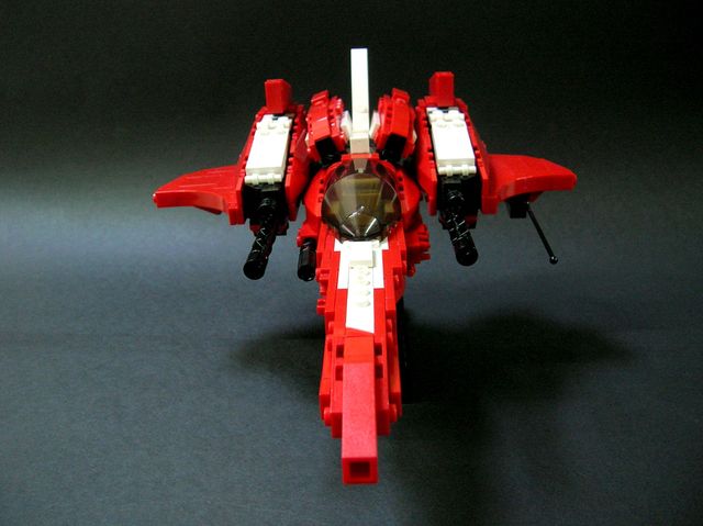 caracara_24.jpg