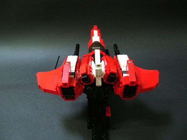 caracara_25.jpg