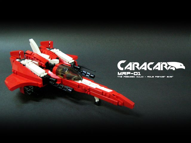 caracara_31.jpg