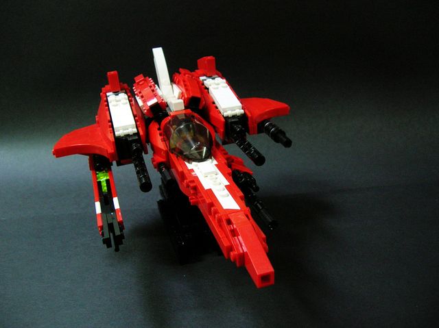 caracara_36.jpg