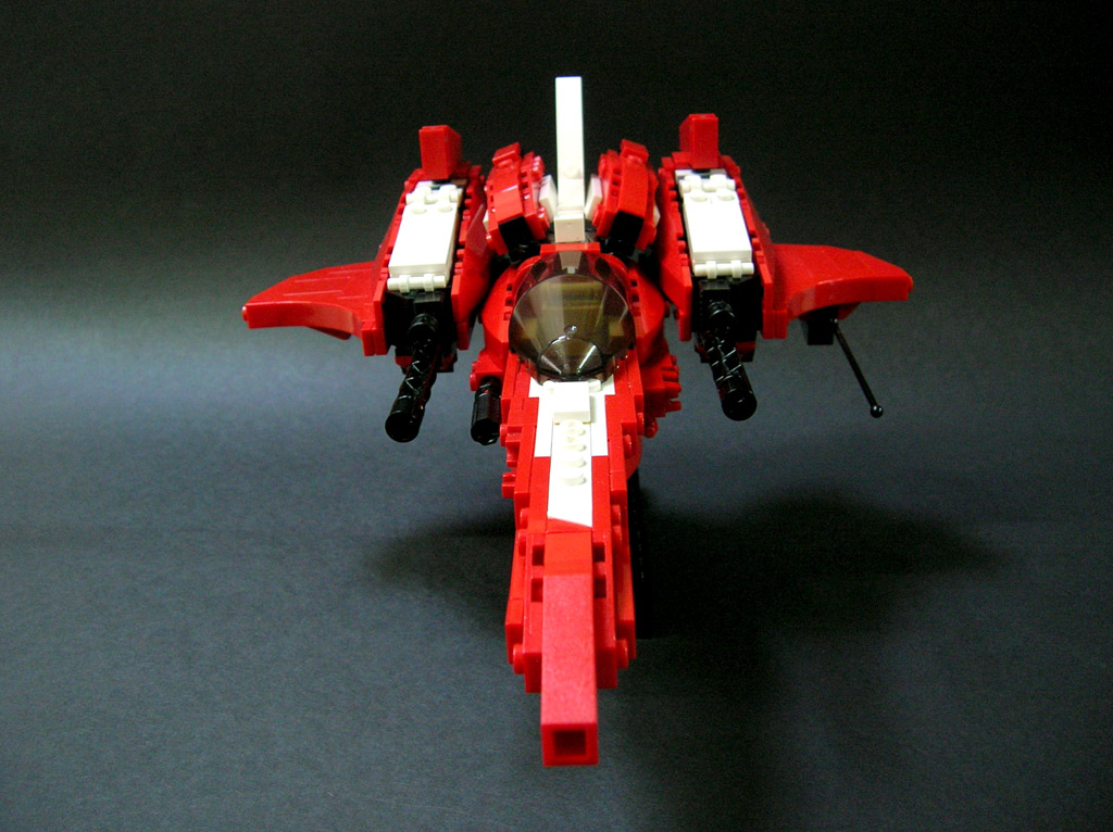 caracara_24.jpg