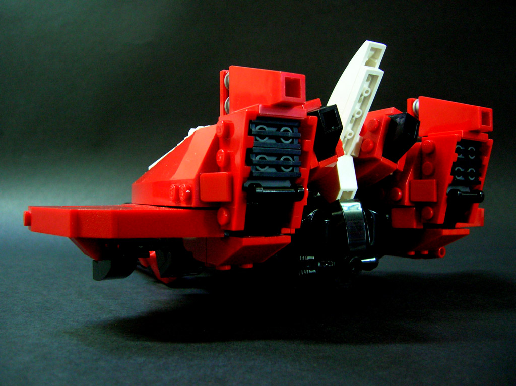 caracara_27.jpg