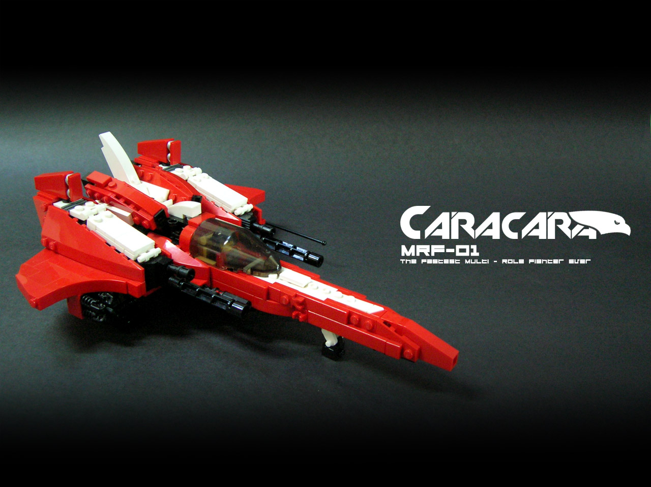 caracara_31.jpg