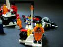 caracara_05.jpg