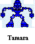 matoran-tamara.gif