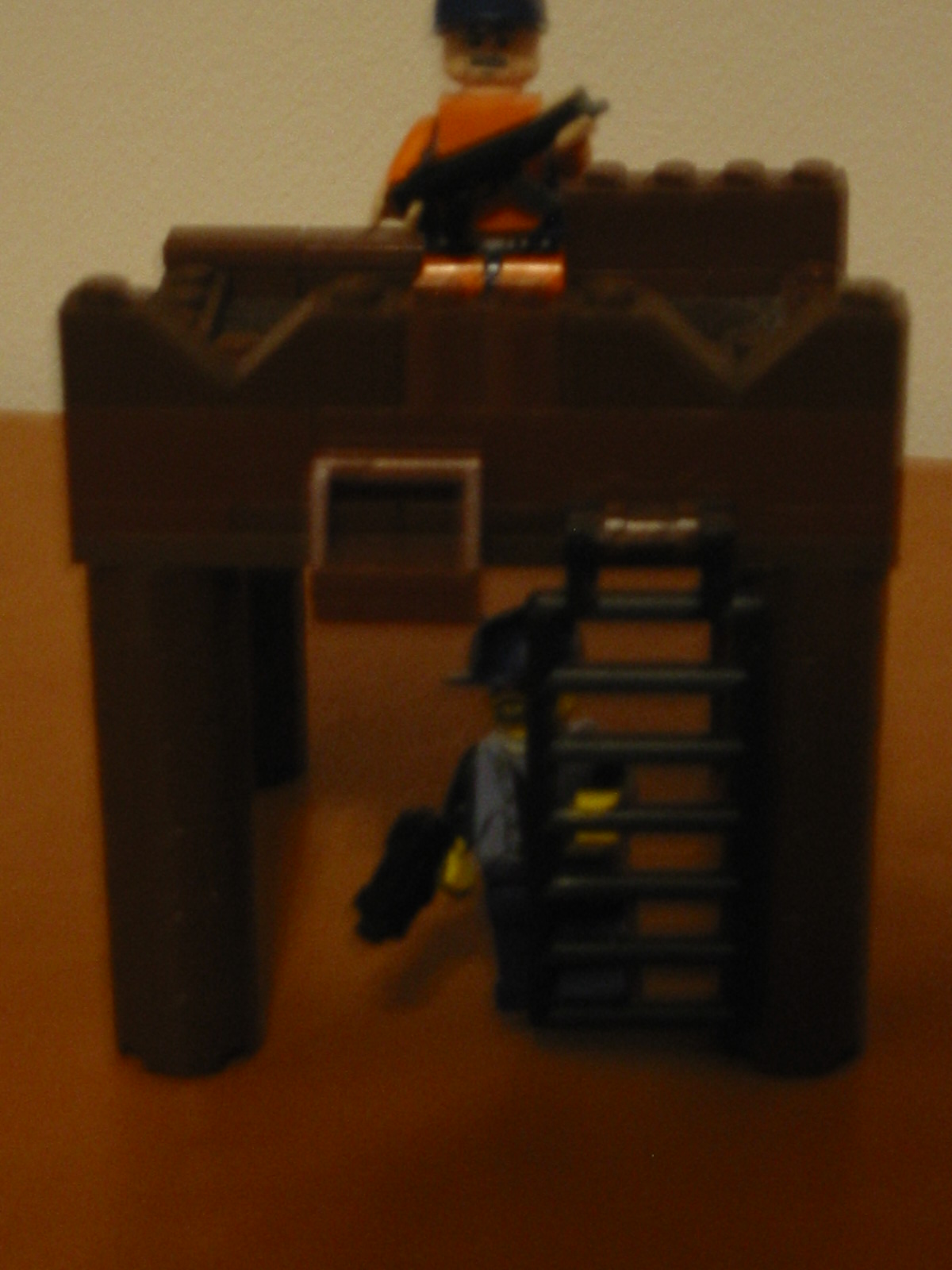 brickshelf_12-29-07_008.jpg